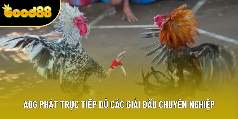 AOG phát trực tiếp đủ các giải đấu chuyên nghiệp