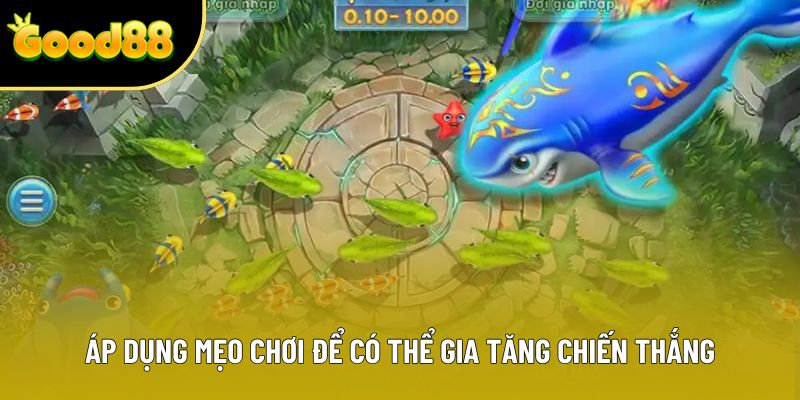 Áp dụng mẹo chơi để có thể gia tăng chiến thắng Áp dụng mẹo chơi để có thể gia tăng chiến thắng