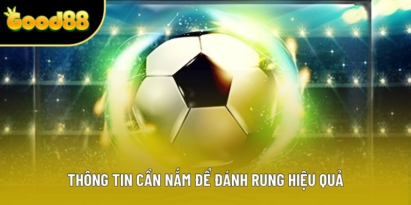 Thông tin cần nắm để đánh rung hiệu quả