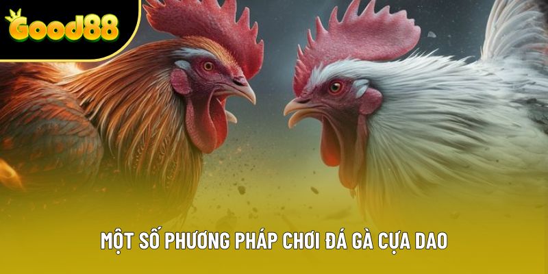 Một số phương pháp chơi đá gà cựa dao