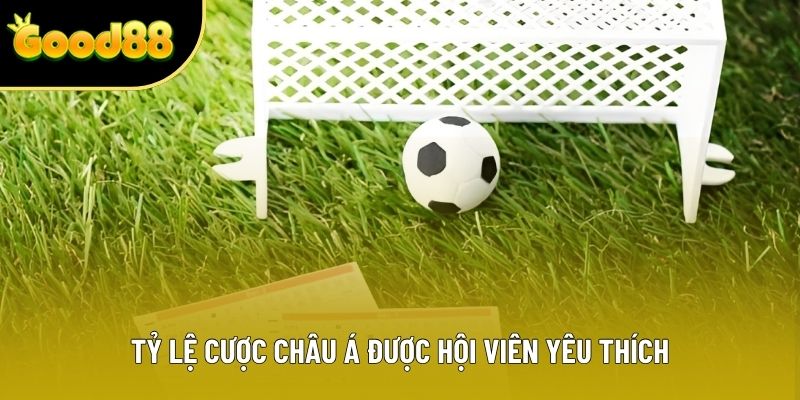 Tỷ lệ cược châu Á được hội viên yêu thích Tỷ lệ cược châu Á được hội viên yêu thích