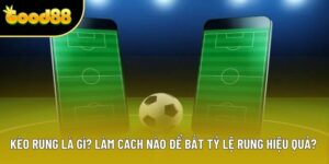 Kèo Rung Là Gì? Làm Cách Nào Để Bắt Tỷ Lệ Hiệu Quả 2025?