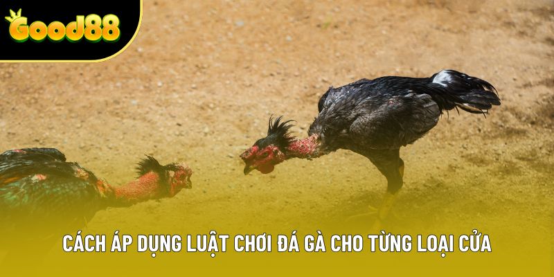 Cách áp dụng luật chơi đá gà cho từng loại cửa
