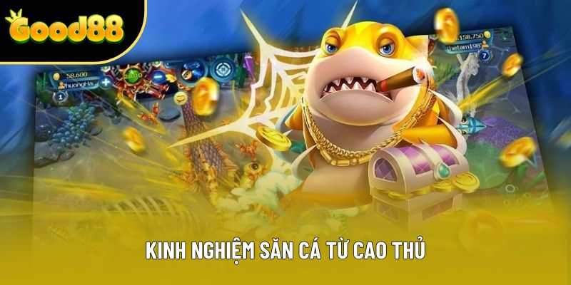 Kinh nghiệm săn cá từ cao thủ Kinh nghiệm săn cá từ cao thủ