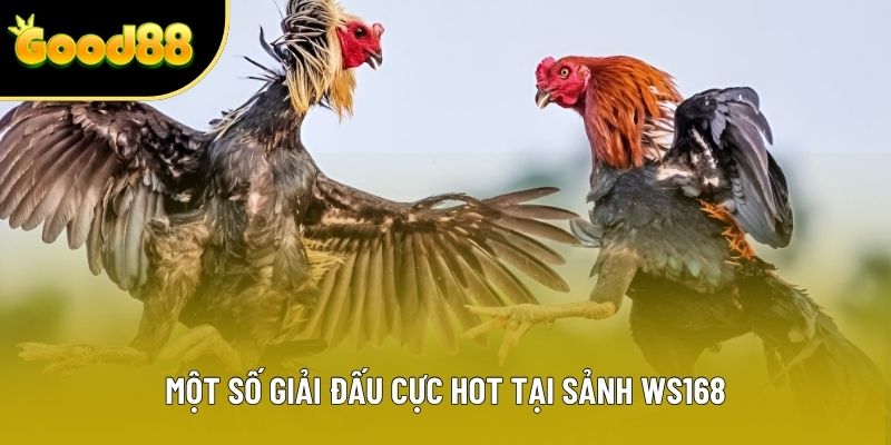 Một số giải đấu cực hot tại sảnh WS168